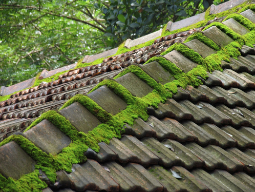 Démoussage de toiture à Bouyon